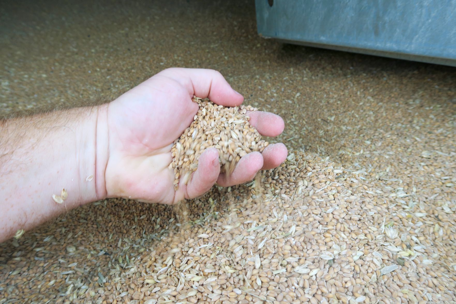 grain hamper.jpg